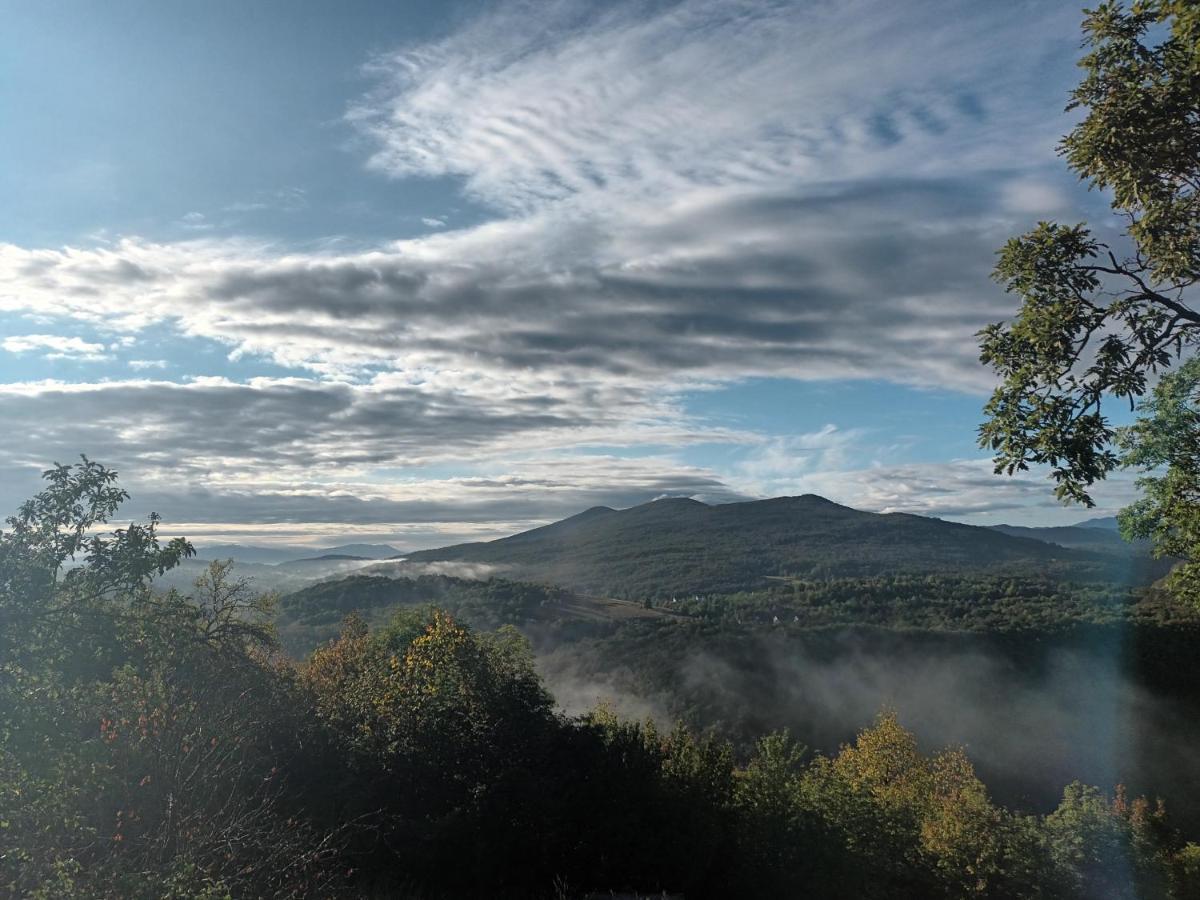 Guesthouse Loncar Plitvička Jezera Exteriör bild