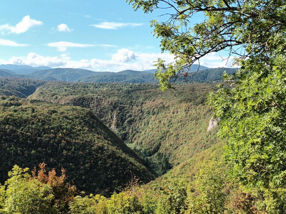 Guesthouse Loncar Plitvička Jezera Exteriör bild